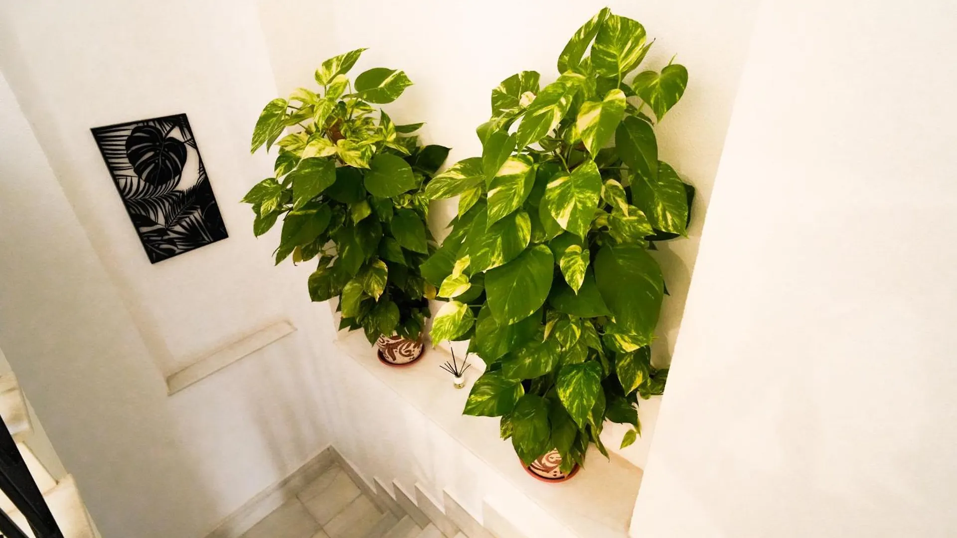 Apartamentos Consistorio Live Jerez de la Frontera 0*,